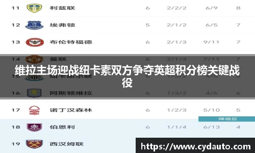 维拉主场迎战纽卡素双方争夺英超积分榜关键战役