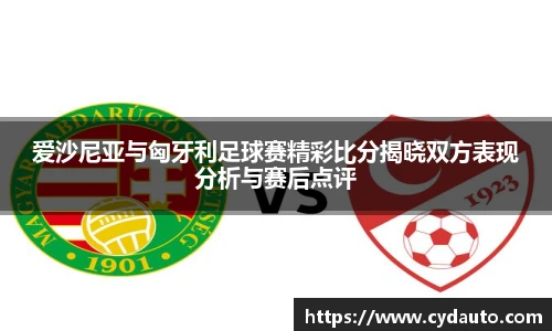 爱沙尼亚与匈牙利足球赛精彩比分揭晓双方表现分析与赛后点评